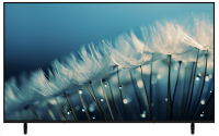Sansui 55-inch UHD Google TV