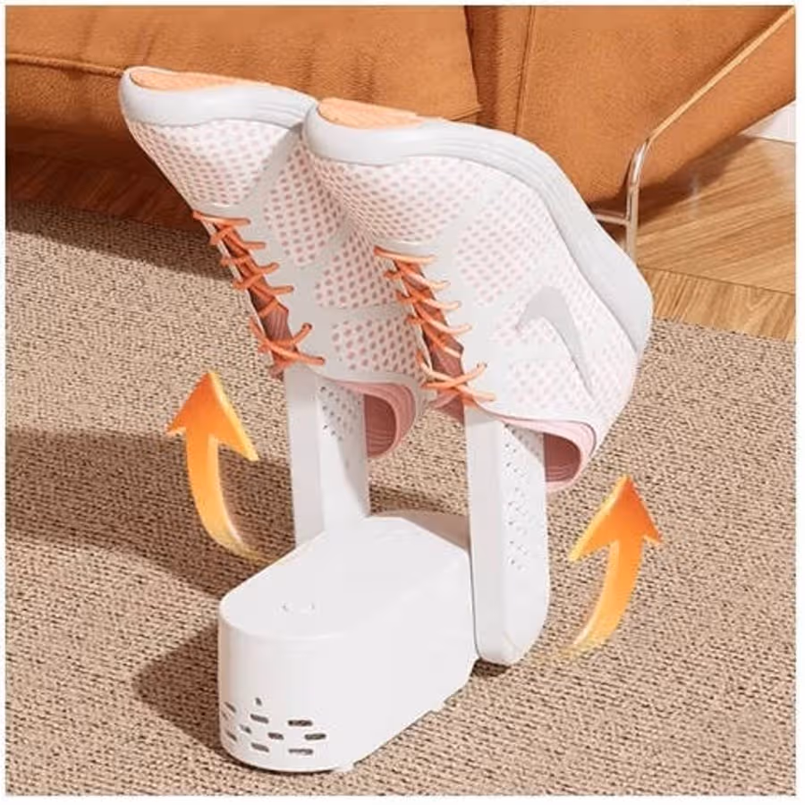 Portable electric shoe dryer