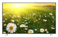Sansui 32-inch LED HDR TV SLED32HDR