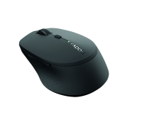 Rapoo M300 Wireless Optical Mouse